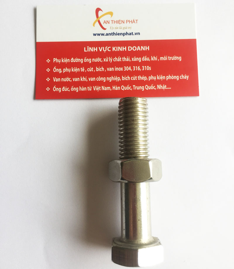 Bulong bu lông inox 310
